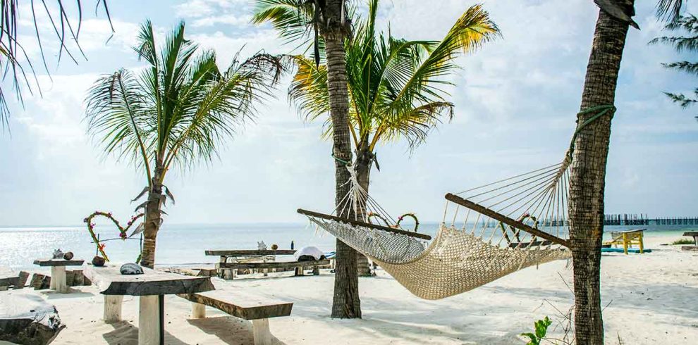 A 7-Day Luxury Safari Retreat